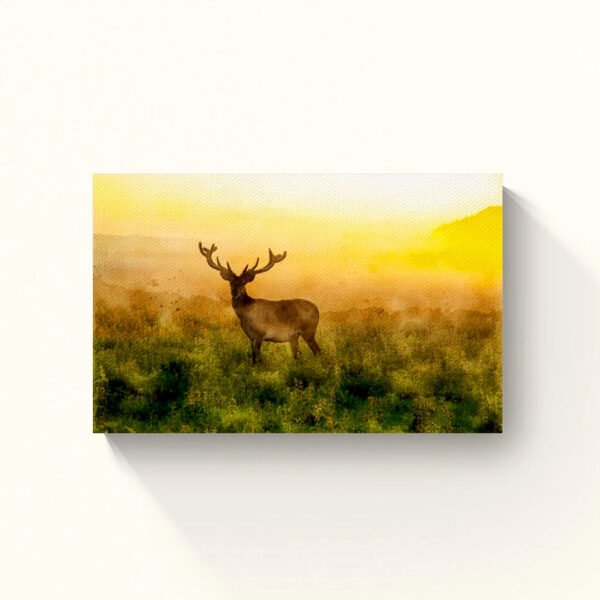 Deer at Sunrise