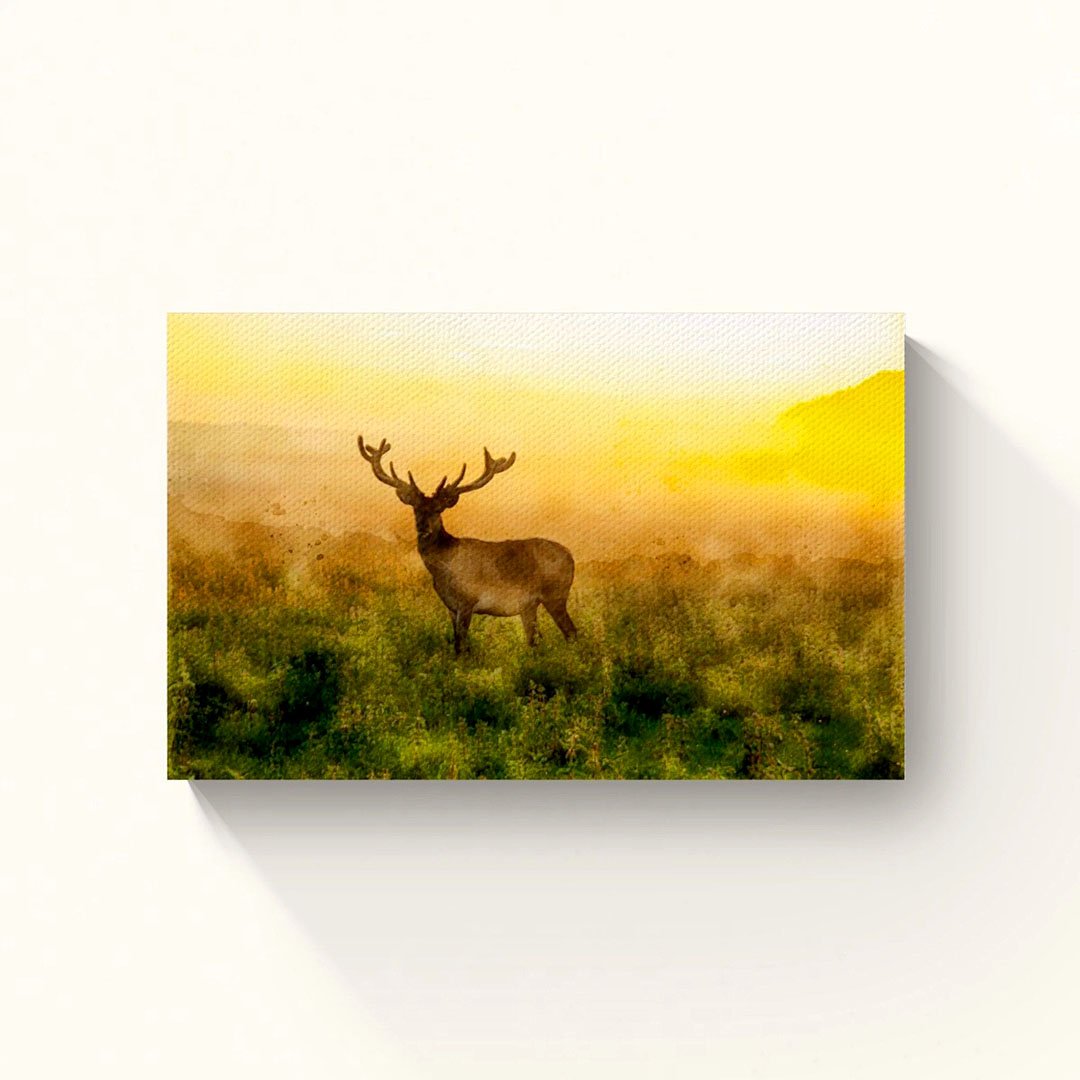 Deer at Sunrise