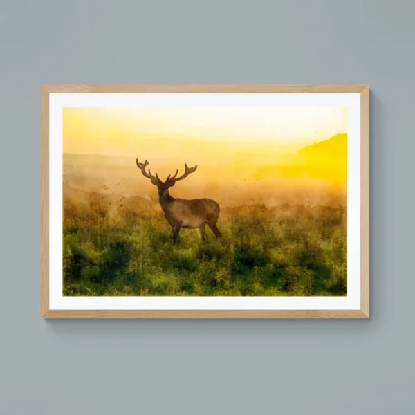 Nature-themed gallery wraps canvas wall art of a peaceful deer at dawn, capturing a magical moment in the wild.