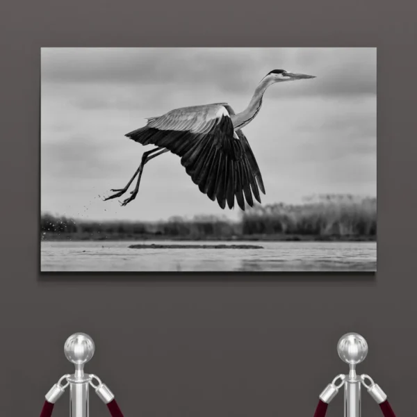 Nature-themed canvas wall art showing a heron with its wings spread in mid-flight over water.
