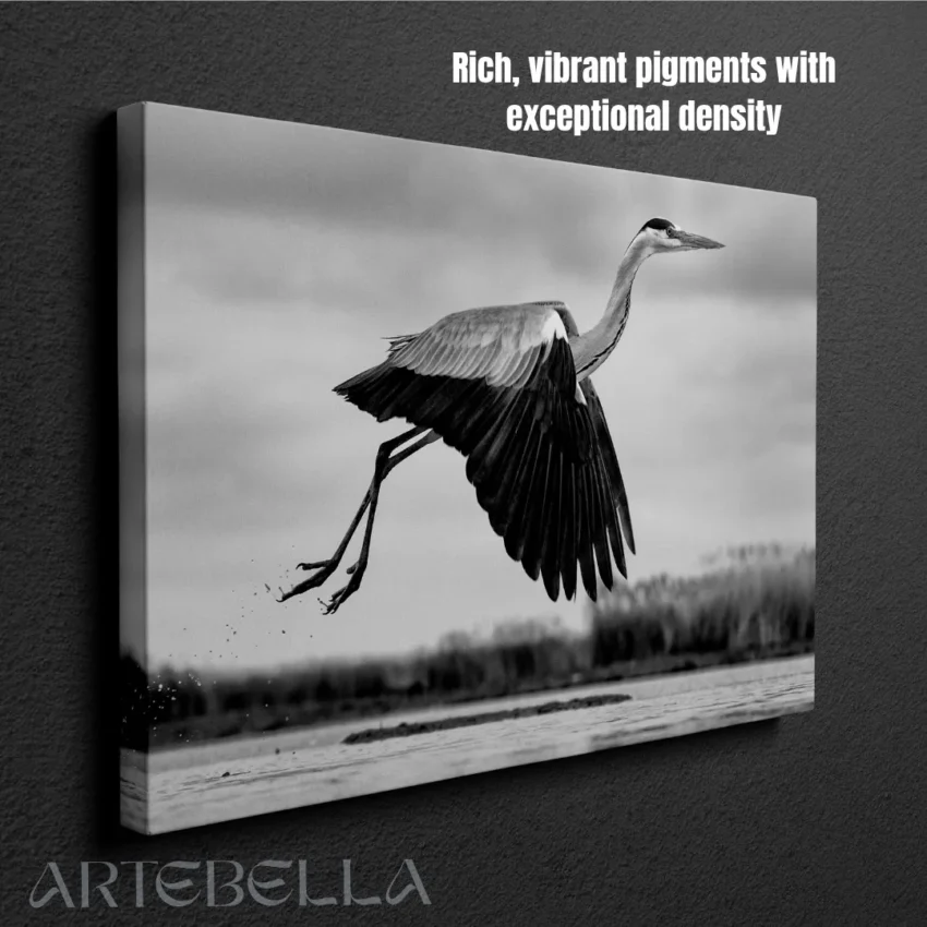 Nature-themed canvas wall art showing a heron with its wings spread in mid-flight over water.