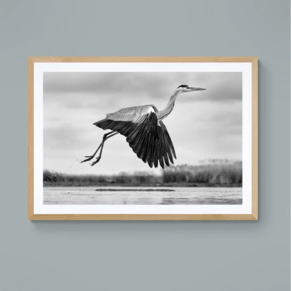Nature-themed canvas wall art showing a heron with its wings spread in mid-flight over water.