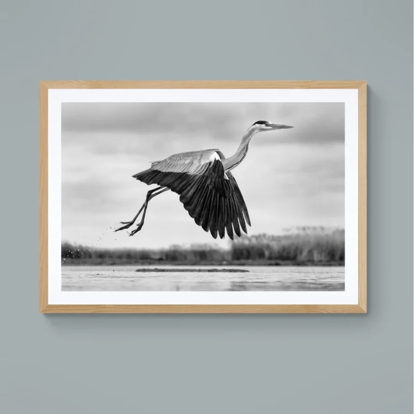 Nature-themed canvas wall art showing a heron with its wings spread in mid-flight over water.