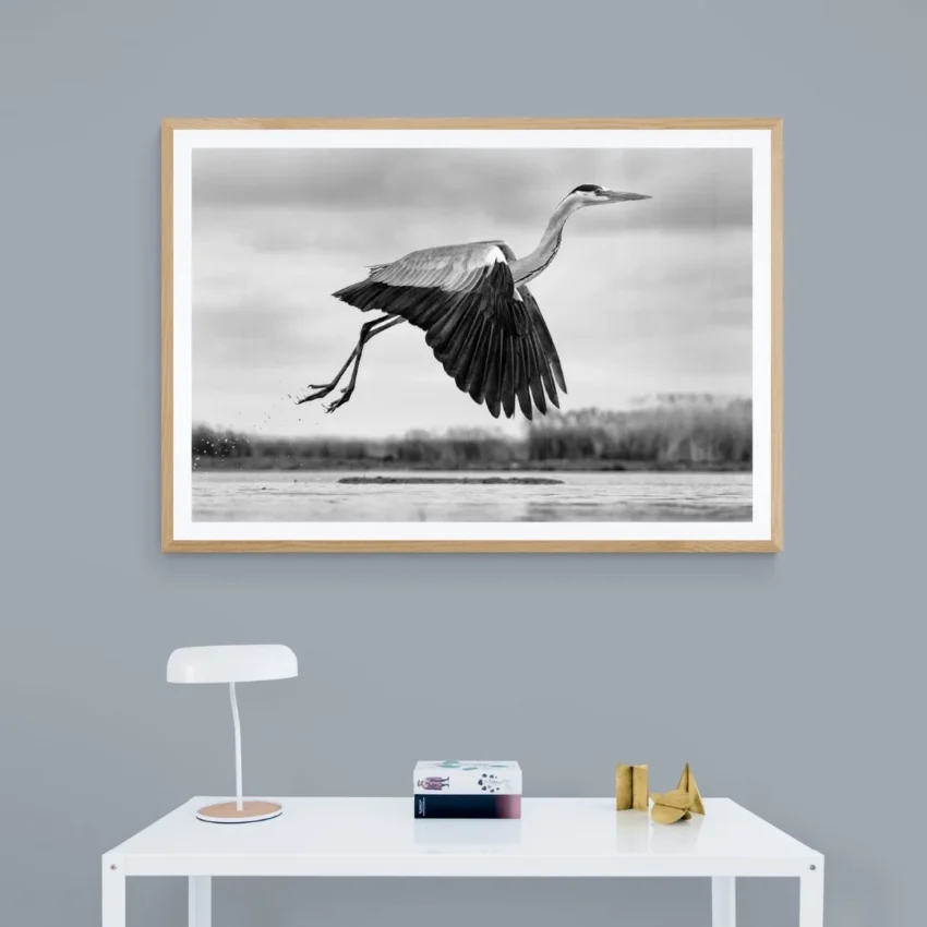 Nature-themed canvas wall art showing a heron with its wings spread in mid-flight over water.