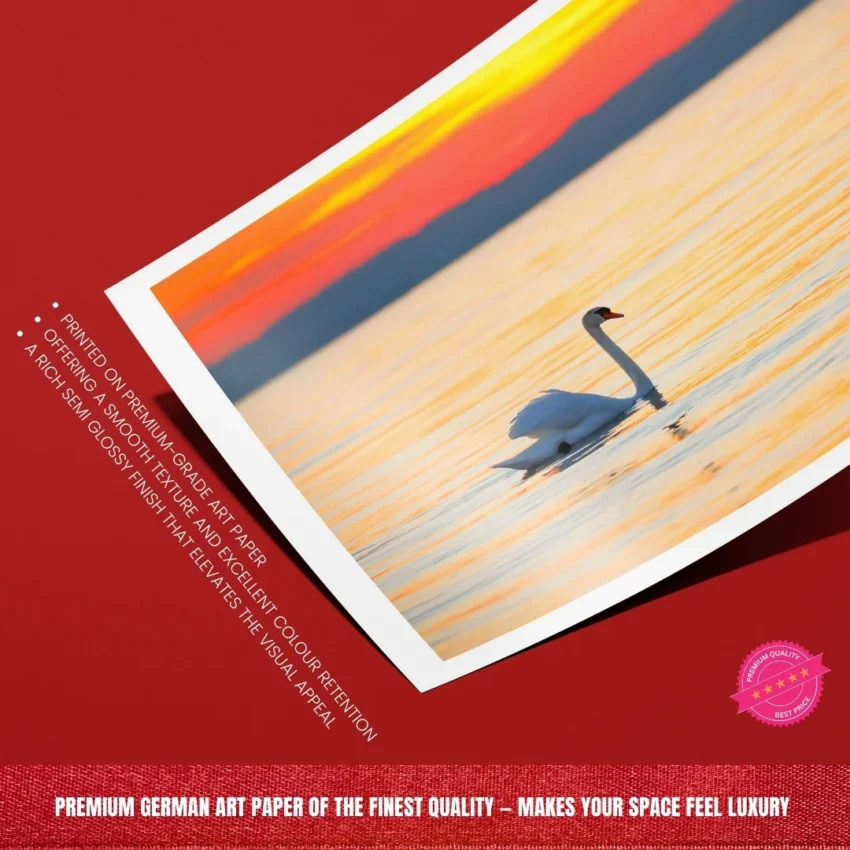 Nature-themed gallery wraps canvas wall art of a serene white swan gliding on calm water during a vibrant orange and gold sunset capturing a peaceful and elegant atmosphere.