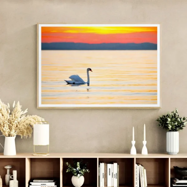 Graceful Swan at Sunset