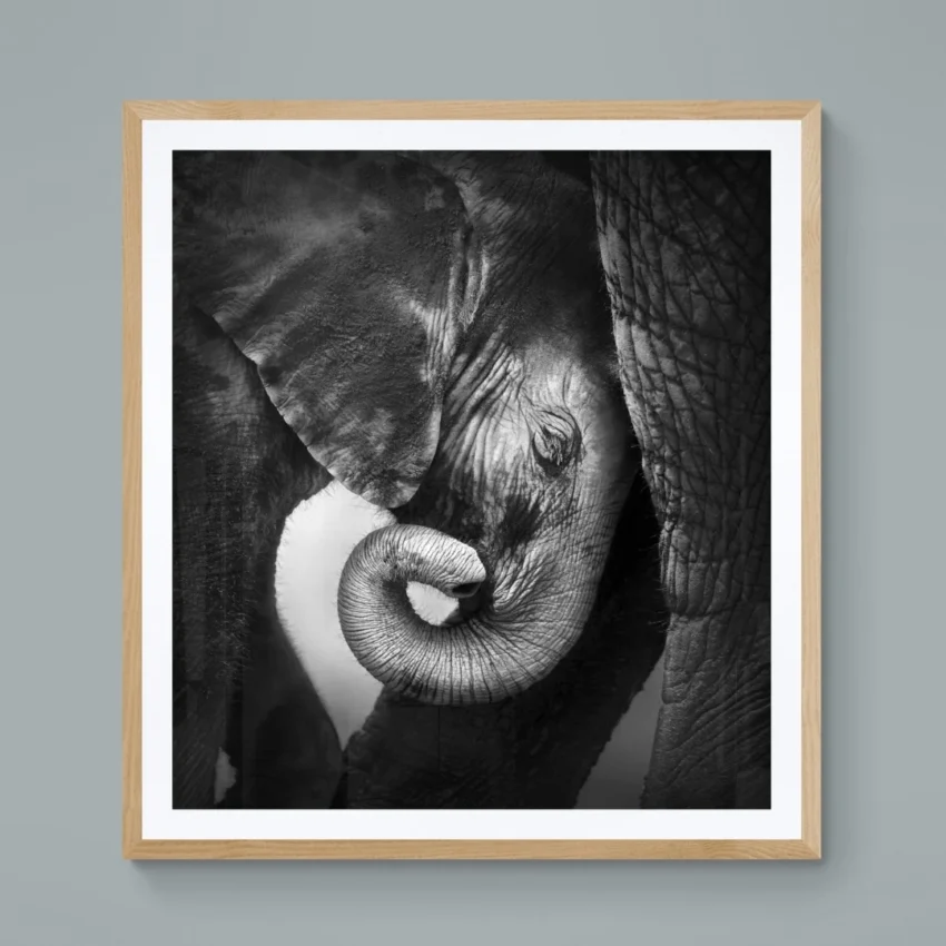 Nature art of a baby elephant and its mother, symbolizing a timeless bond and love.