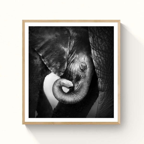 Mother & Baby Elephant