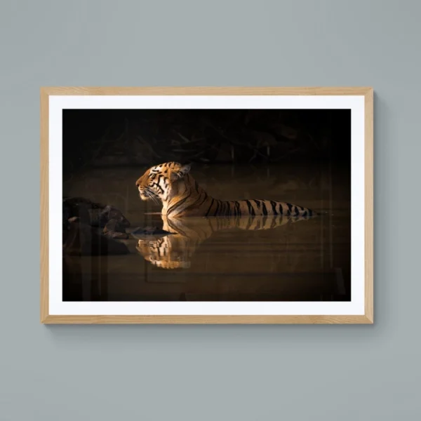 Wildlife art of a serene tiger in water, symbolizing power and peace framed wall art
