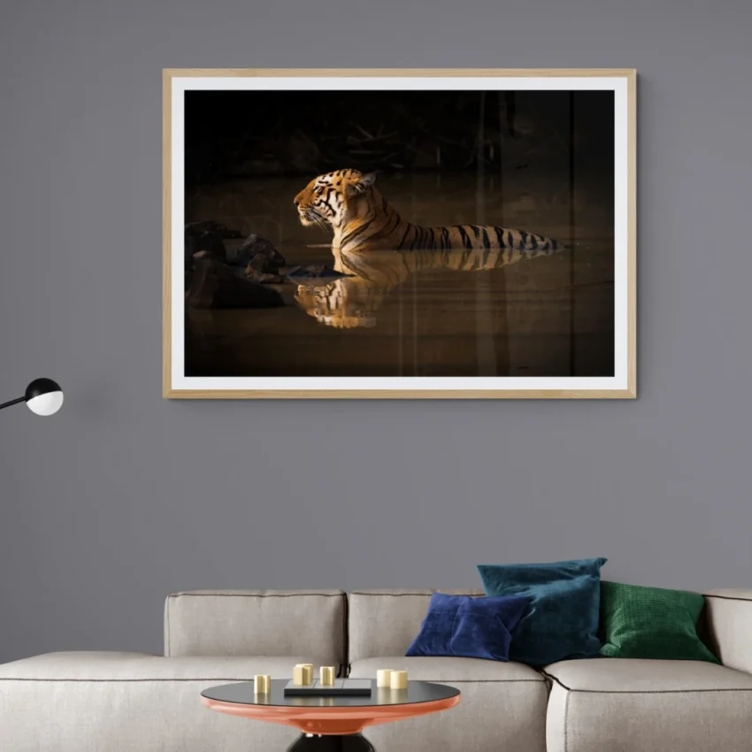 Wildlife art of a serene tiger in water, symbolizing power and peace framed wall art