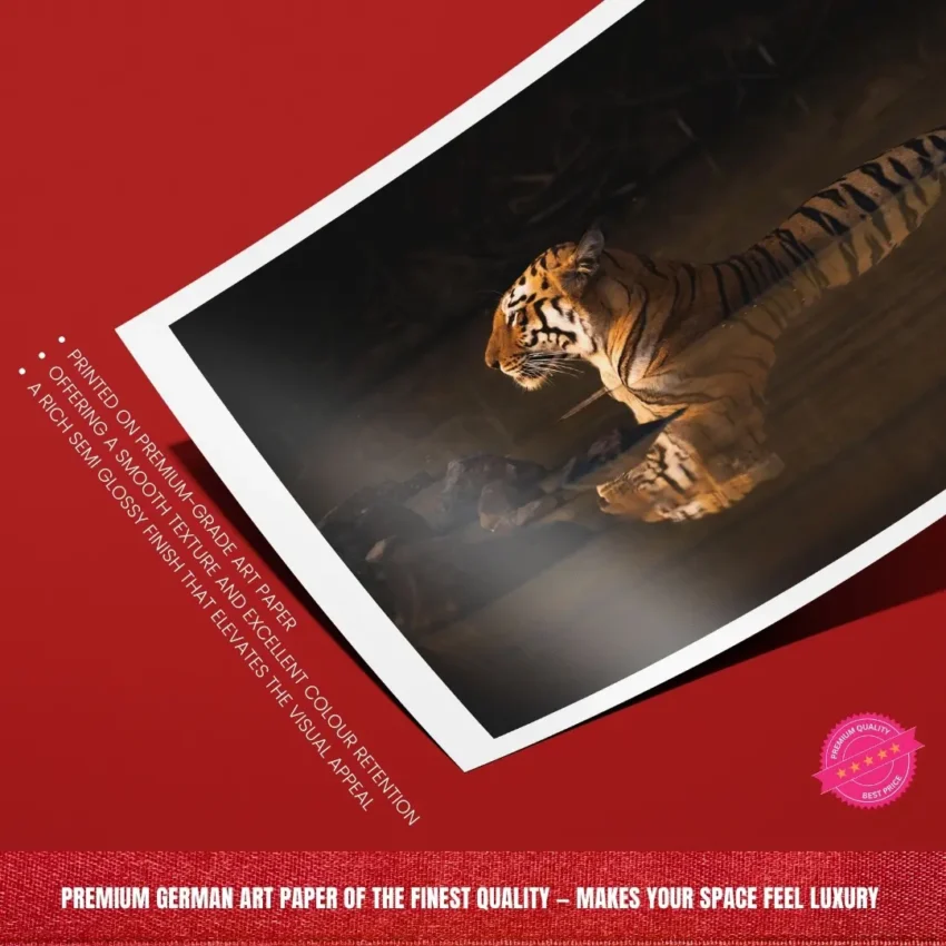 Wildlife art of a serene tiger in water, symbolizing power and peace framed wall art