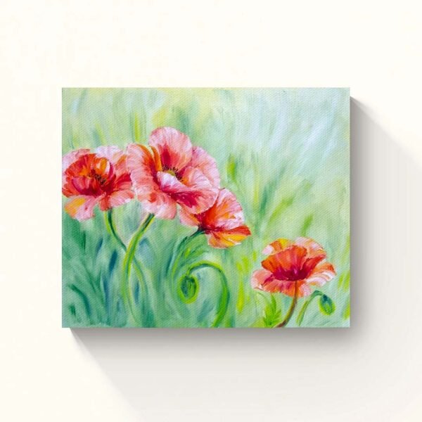 Poppies Dreamy Nature